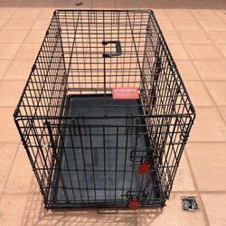 Kong Dog crate