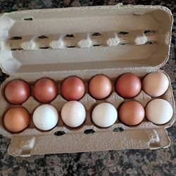 Organic Eggs