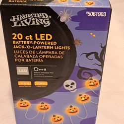 Halloween Decor LED Lights Pumpkins Holiday Living NEW!