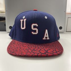 USA Zephyr Snapback Hat