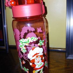 Strawberry Shortcake  Water Bottle