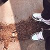 SNEAKERS4SALE