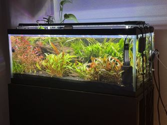 TWO Aquarium Lights. Hygger 24/7 30”-36” Selling As A Pair