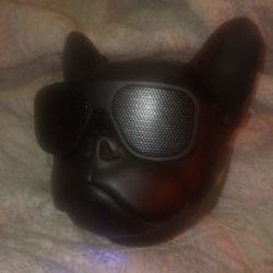 Cat Speaker 