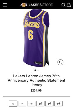 Authentic Lebron James Laker Jersey XL Jordan Brand