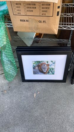 14x17 Black Frames With Glass