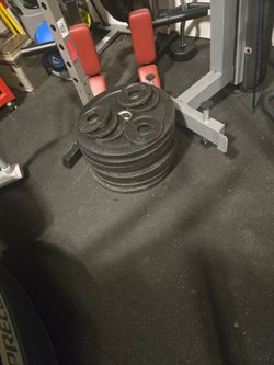 Bumper weight plates plus