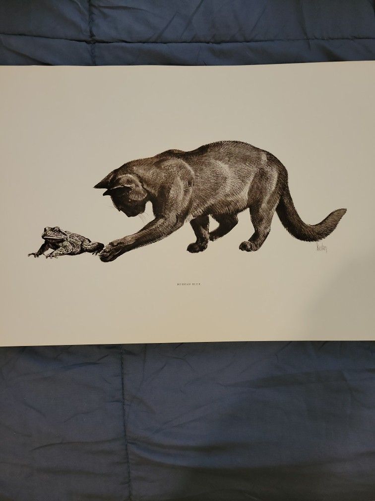 Cat prints by robert Kuhn 1960s