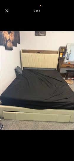 Bed