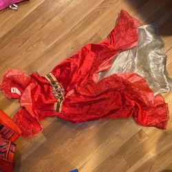 Disney Elena Costume