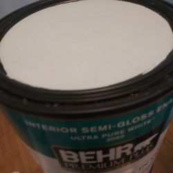 Semi Gloss paint