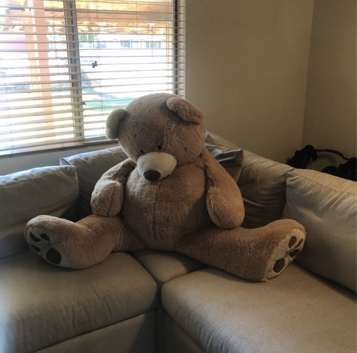 Teddy Bears For Sale