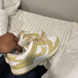 Nike Dunk Size 11