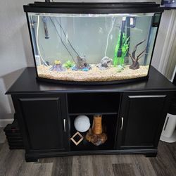 MUST GO!! Aquarium 45 Gallon Bow front With Table And Accessories