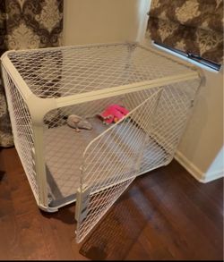 Diggs dog crate