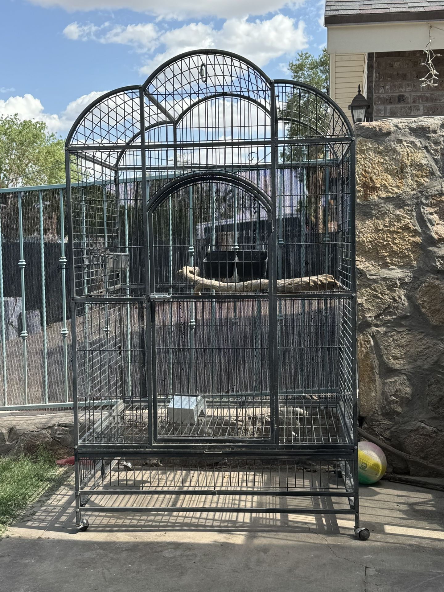 Bird Cage 