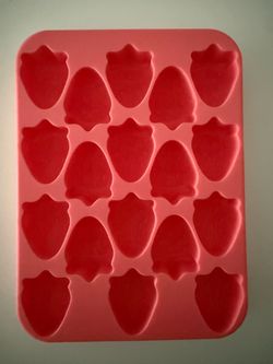 Chocolate or ice mold