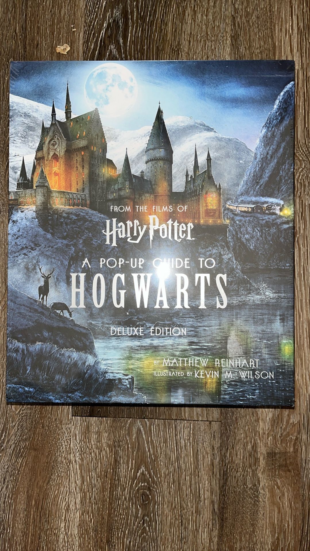 HARRY POTTER POP OUT NEW!