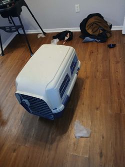 Medium Hard Plastic Polymer Travel Kennel