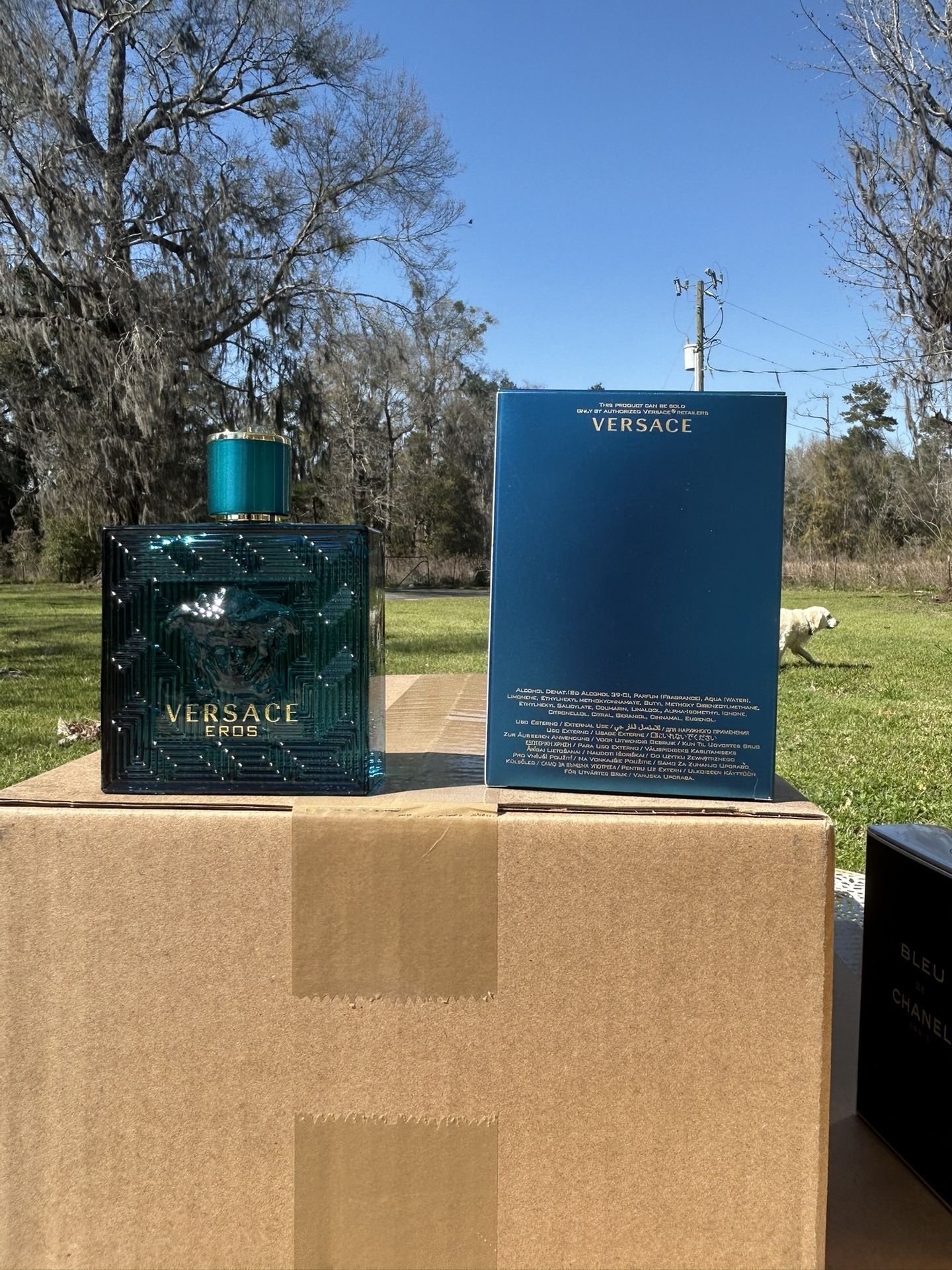 Versace Eros