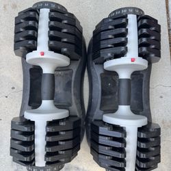 Adjustable weights