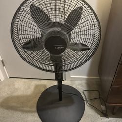 Fan 