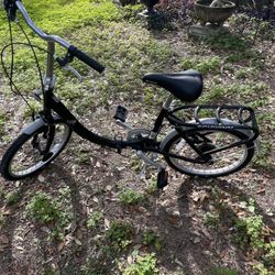 Foldable Bike With Carrying Case