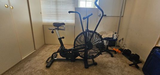 AssaultBike Classic