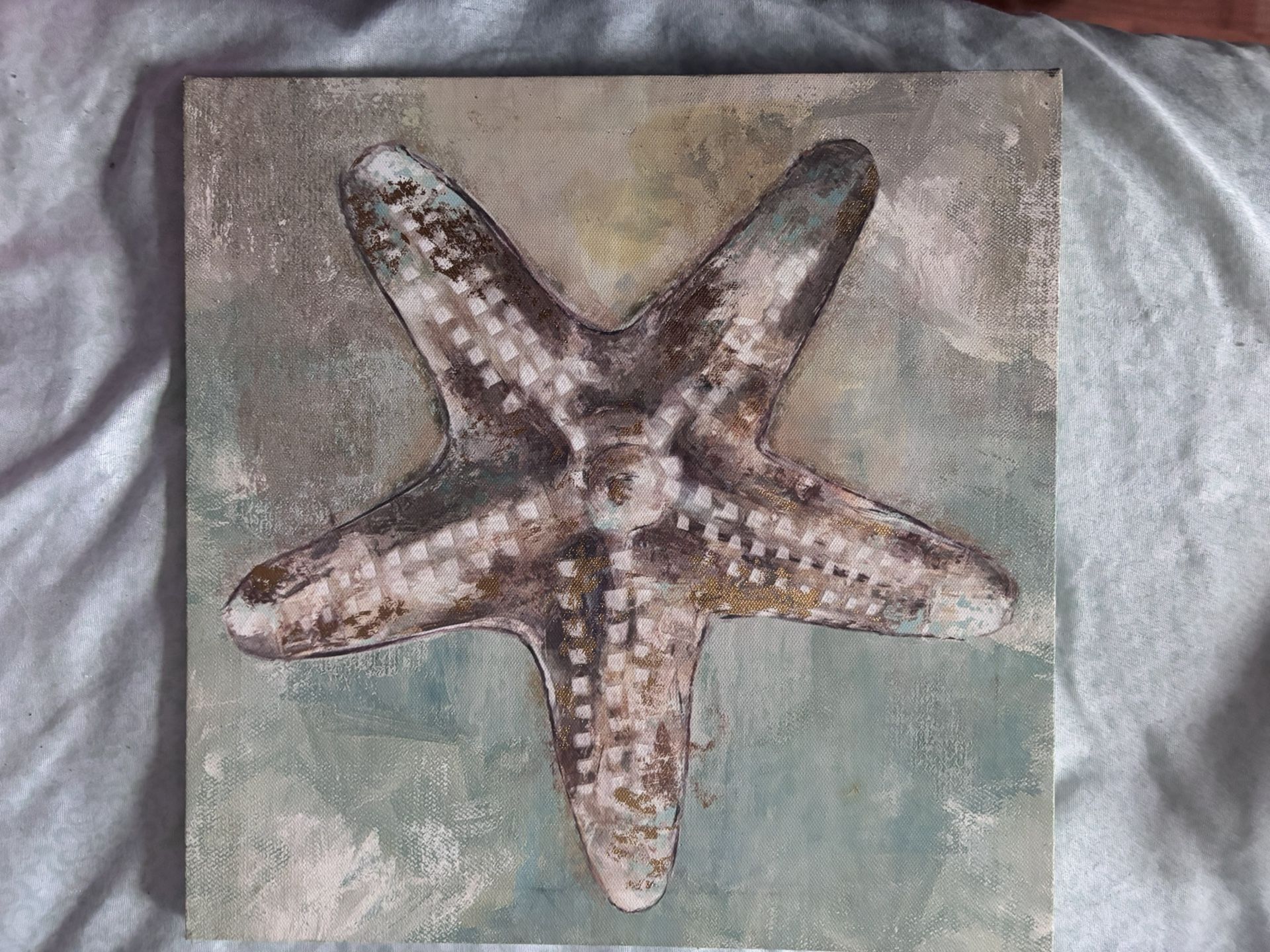 Starfish Picture