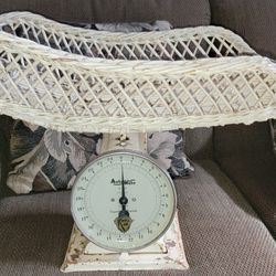 Baby Scale