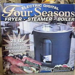 Steamer/fryer/boiler 