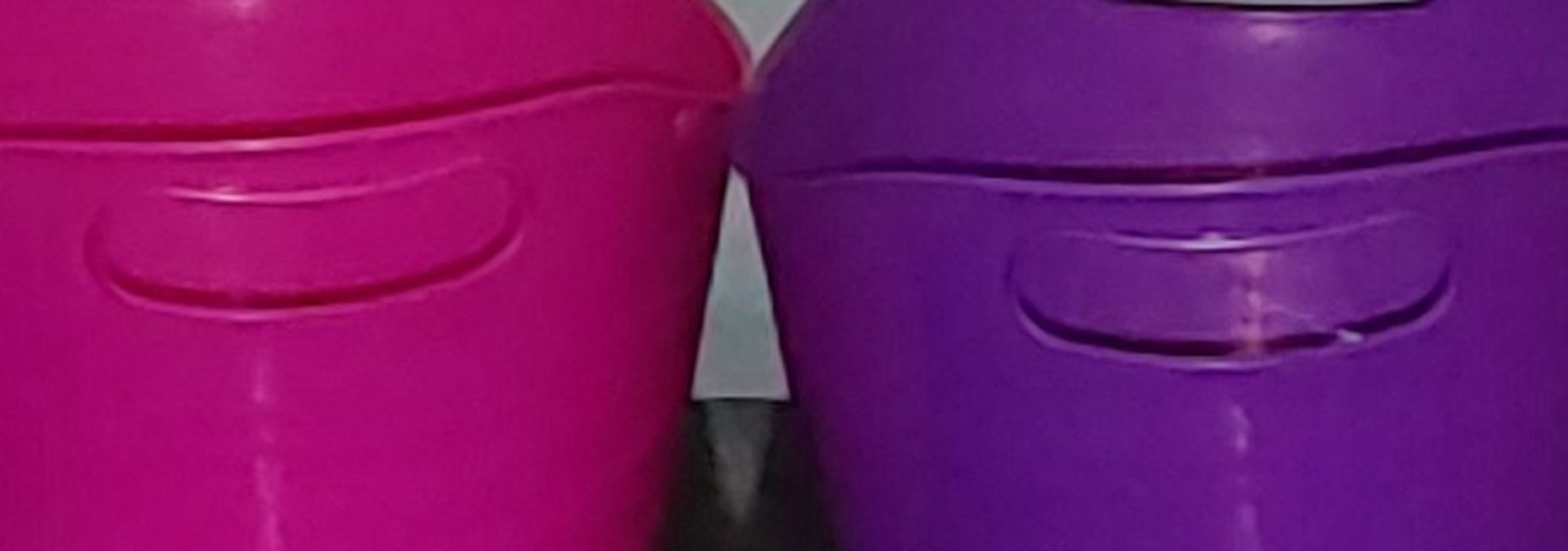 4 Containers 2 Pink 2 Purple