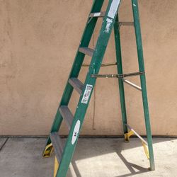 Ladder 🪜 6 Ft Tall