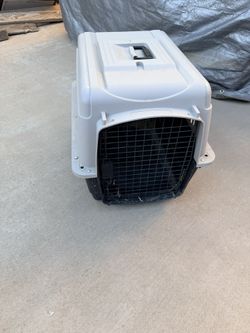 24X16 Kennel