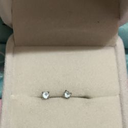 Sterling Silver Earrings 