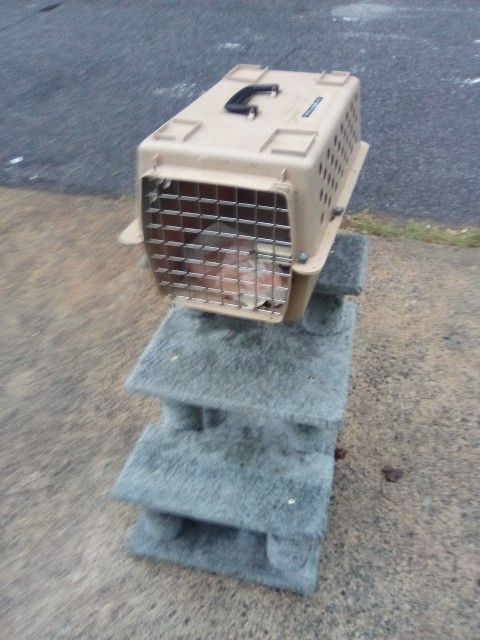 Small Cat Kennel +Cat Play Tree