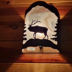 Indoor Sconces Cabin Light