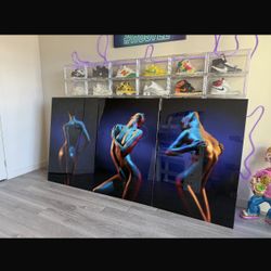 Cuadros De Puro Lujo Agrilicos