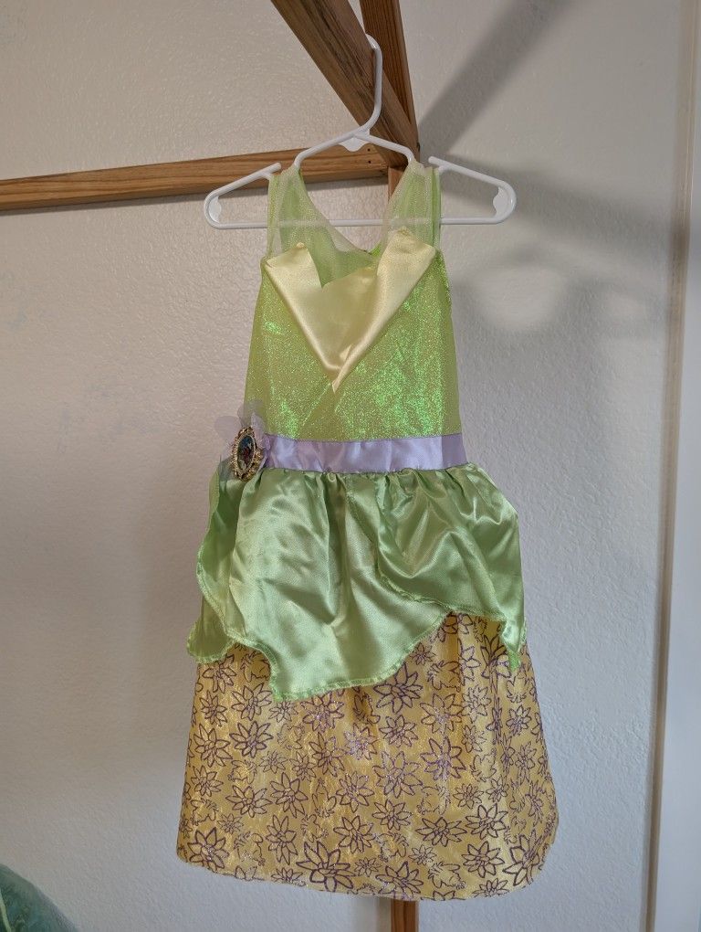 Disney Princess dresses