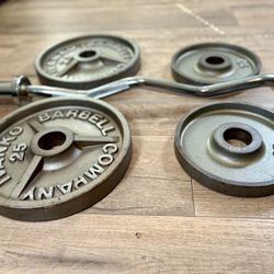 IVANKO Series M With Brand NEW Curl Bar With Cooper Bearings: Pais Of 25s and 10s ( Total: 90 lbs)