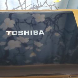 Toshiba Satellite A215 S5850 Laptop (Linux Mint OS)