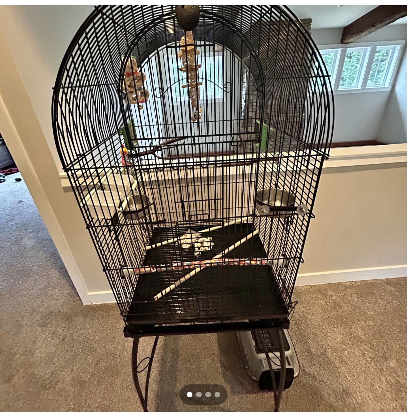 Bird Cage With Lots Of Extras