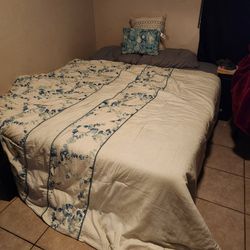 Queen Bed With Box Spring 