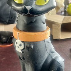 Halloween Cat 