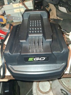 Ego  battery charger only