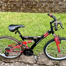 Bike 🚲 24”