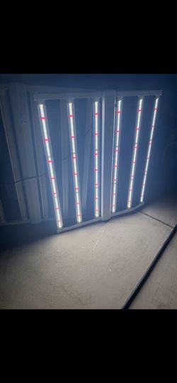 2 Luces