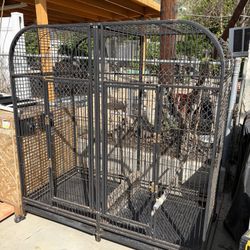 Bird Cage  6’X4’