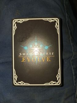Evolve Shadow Verse Mega Collection