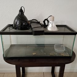 20 gallon reptile tank w lighting supplies